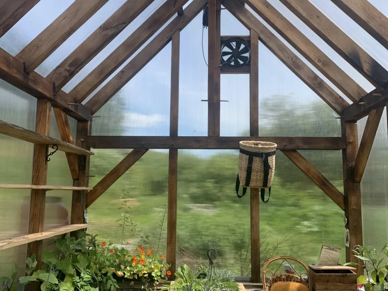Interior shot of a timber frame greenhouse. Farm is visible outside of the clear walls and roof, and there are plants inside.