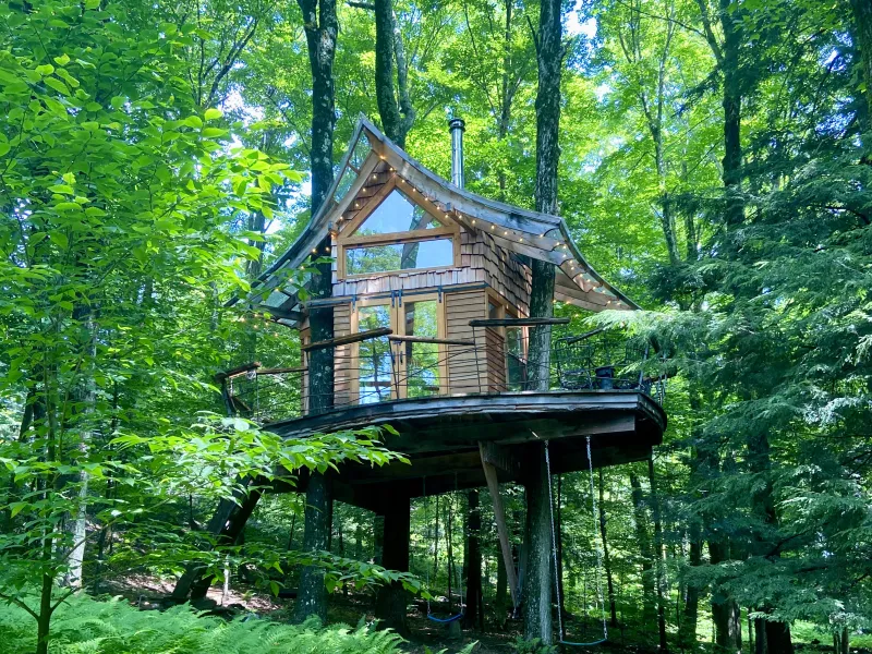 treehouse nestled in the woods