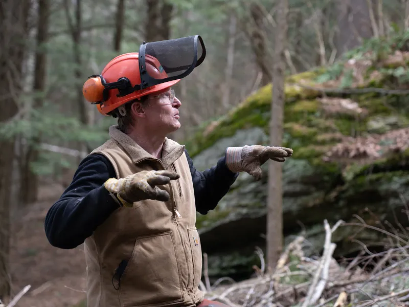 Nick stands in a forest with a hard hat, chainsaw gear, and carhartt vest. He is pointing up at a tree.