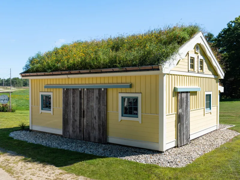 A live green roof on a small cabin