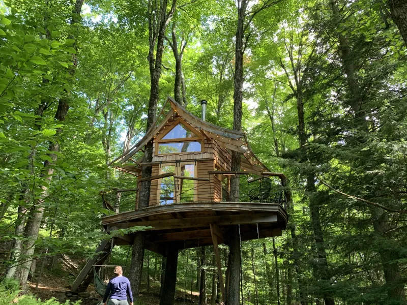 A treehouse with a curved rood and cedar shake surrounded by green trees.