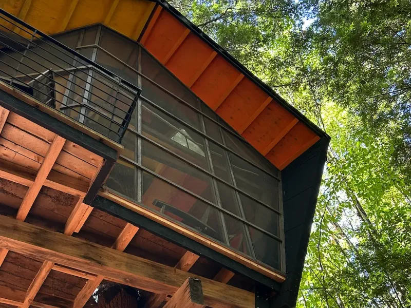 Shot from below looking up at a modern treehouse in the middle canopy.