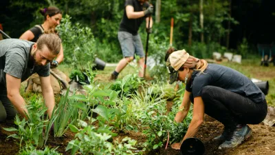 Students install plants in a garden, crouching down with their hands in the dirt. 