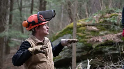 Nick stands in a forest with a hard hat, chainsaw gear, and carhartt vest. He is pointing up at a tree.
