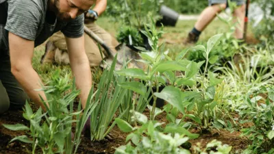 A person installs plants in a garden bed, with other gardeners visible in the background.