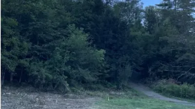 Photo of a cleared site for building, with blue sky and pine tree forest behind the grassy lot.y
