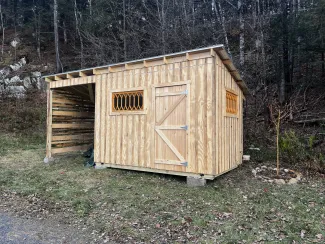 A wooden shed with unique orange windows and an overhang for outdoor storage.