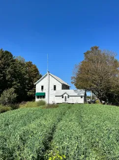 Wide shot of the back of the East Warren Market