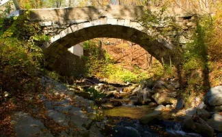 The Townshend stone arch bridge is photographed in the Fall with foliage.