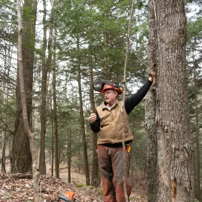 Nick stands in a forest with a hard hat, chainsaw gear, and carhartt vest. He is pointing up at a tree.