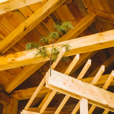 Detail of a whetting tree atop a wood structure.