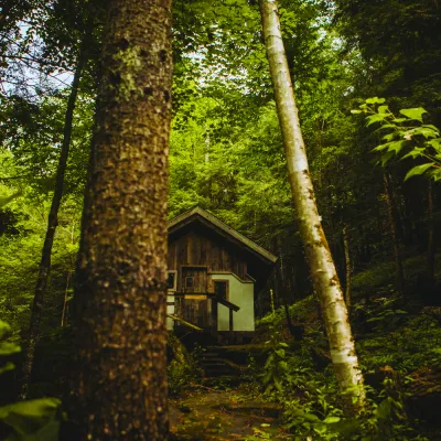 Wide shot of a cabin in the forest in summer. The cabin has a white base and timber frame. 