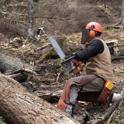 Nick holds a chainsaw, preparing to cut a felled tree