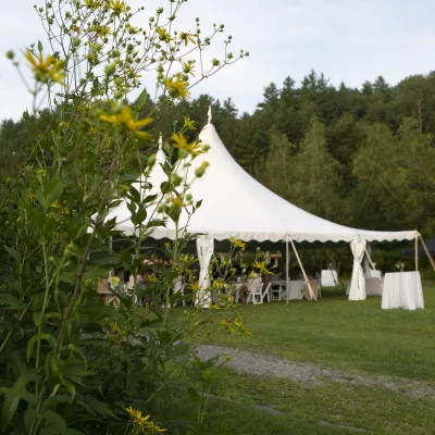 White celebration tent on a lawn with yellow flowers in the foreground