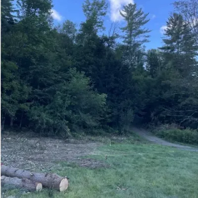 Photo of a cleared site for building, with blue sky and pine tree forest behind the grassy lot.y