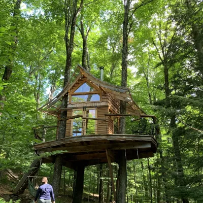 A treehouse with a curved roof and cedar shake siding surrounded by green trees.